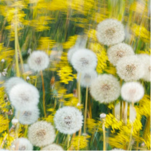 大众浴室洗澡换衣室最新消息
